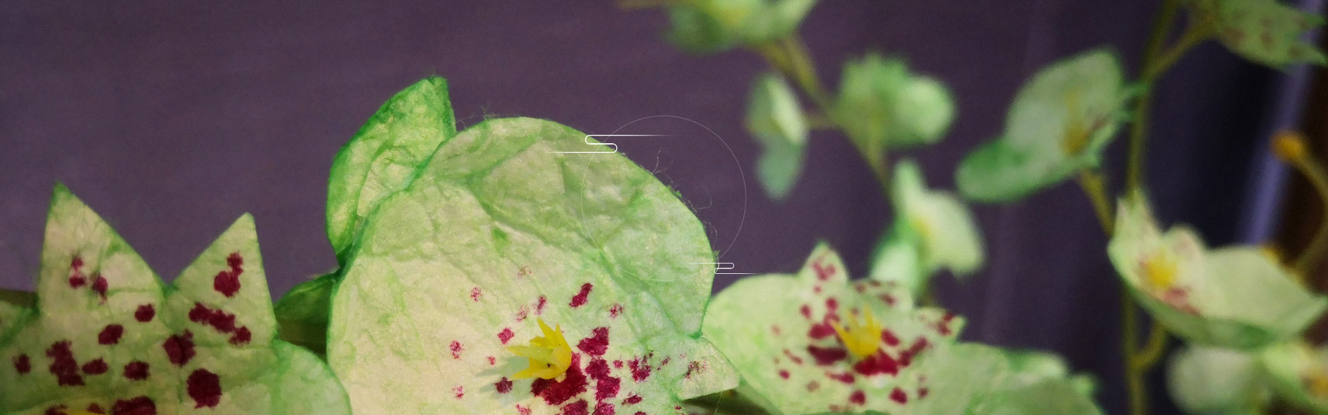 小九直播nba免费观看下载